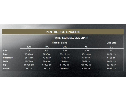 Бодистокинг с имитацией чулок Penthouse - Bomb Squad Black XL