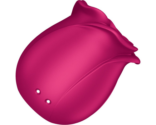 Вакуумний кліторальний стимулятор Satisfyer Pro 2 Classic Blossom