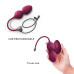Вагінальні кульки з вібрацією та пультом Dorcel LOVE BALLS PLUM