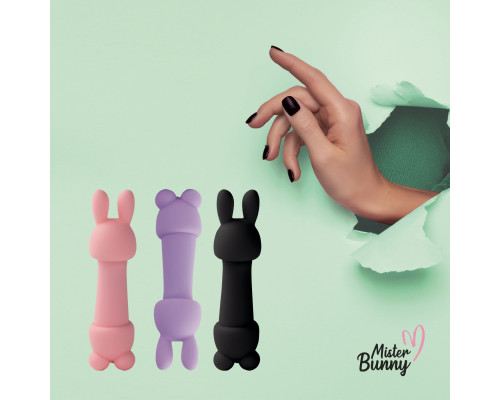 Міні-вібратор FeelzToys Mister Bunny Pink з двома насадками