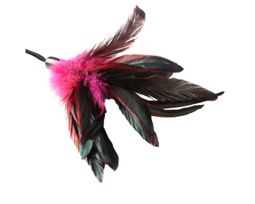 Метелочка-щекоталка Sportsheets - PLEASURE FEATHER ROSE на веревочной петле