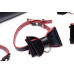 Набір для BDSM Master Series Bow - Luxury BDSM Set With Travel Bag