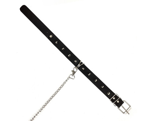 Нашийник з шипами та повідцем Art of Sex - Collar Spikes and Leash