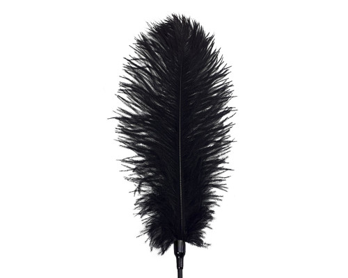 Лоскітка зі страусиним пером Піка Art of Sex - Feather Tickler, колір Чорний