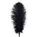 Лоскітка зі страусиним пером Піка Art of Sex - Feather Tickler, колір Чорний
