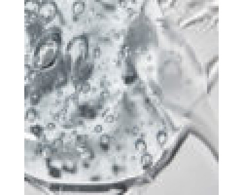 Гель-змазка для звуження піхви Amoreane Tightening Gel 30ml, водна основа, екстракт гамамелісу